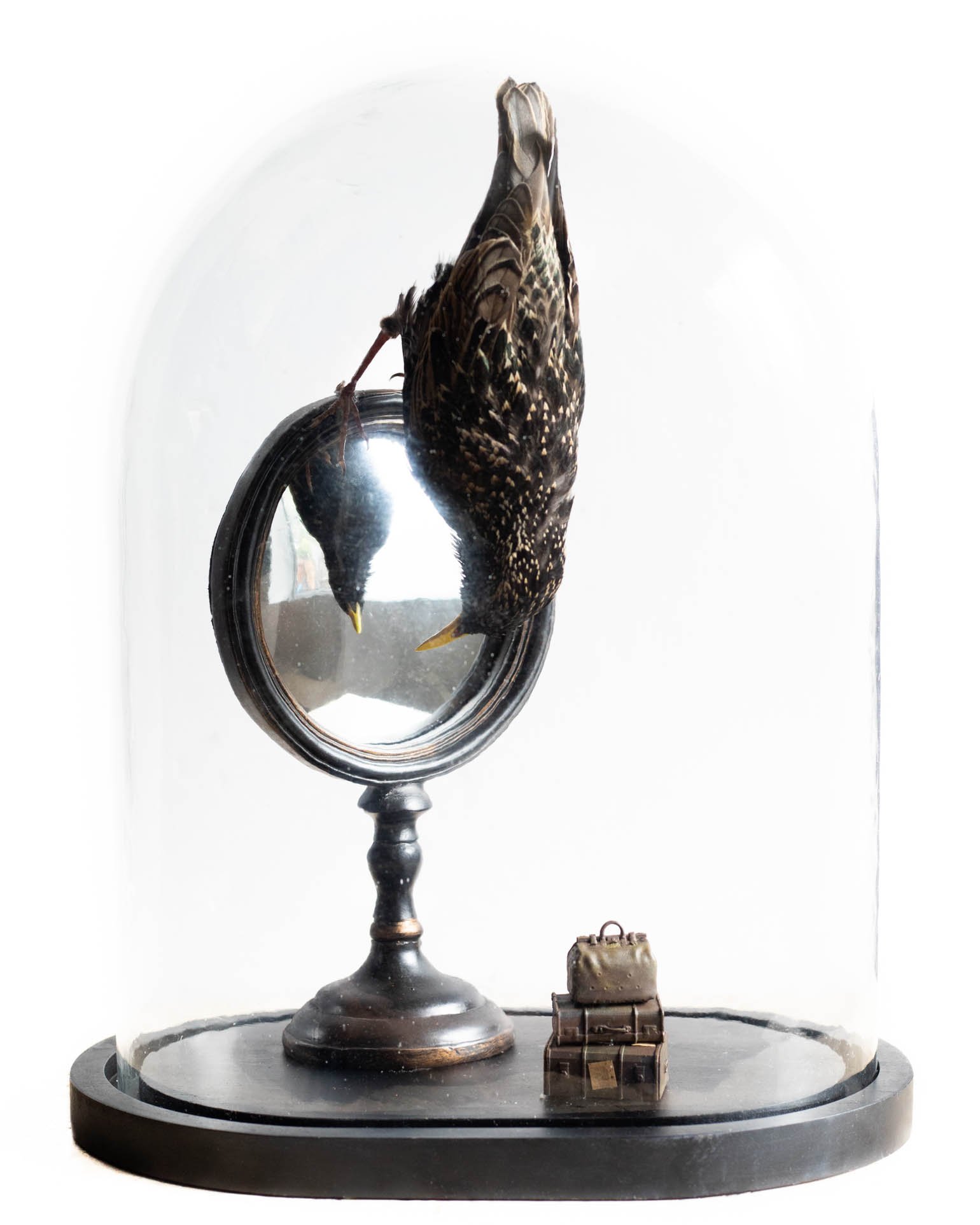 Christina Lowry, INCERTUS .uncertain.jpg