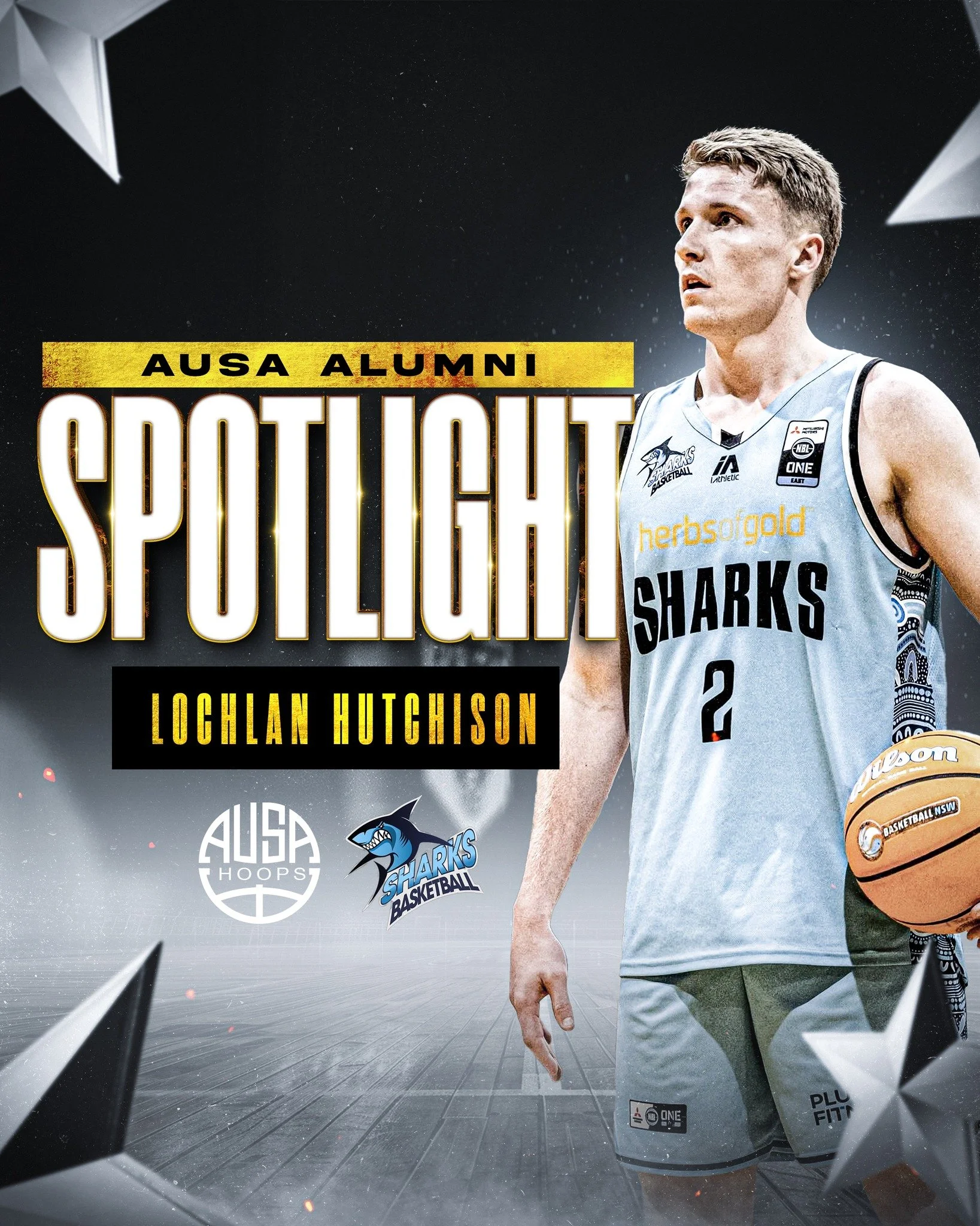 We&rsquo;re proud to highlight @lochlan.hutch, who toured with AUSA Hoops in 2017, previously suited up for the @sydneykings, and has recently gone on to make his mark with the @sutherlandsharksbasketball in the NBL1.

Lochlan&rsquo;s journey from AU