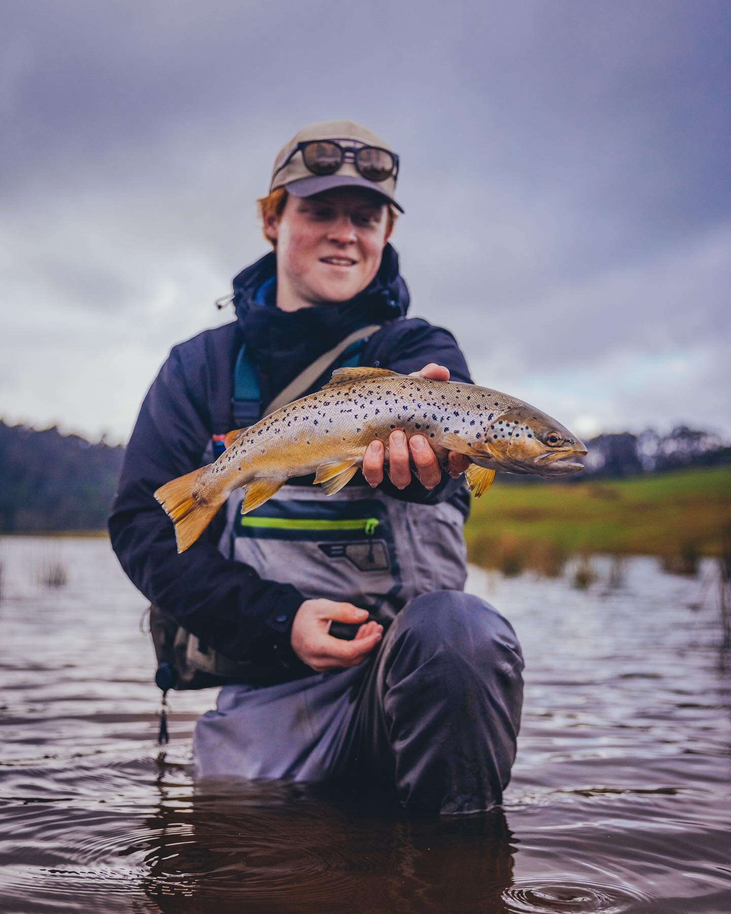 Never a dull moment chasing gold on the lakes 🤟🐟 @riley.berry 
&bull;
&bull;
&bull;
#flyfishing #fishing #lakefishing #trout #browntrout #bigfish #nature