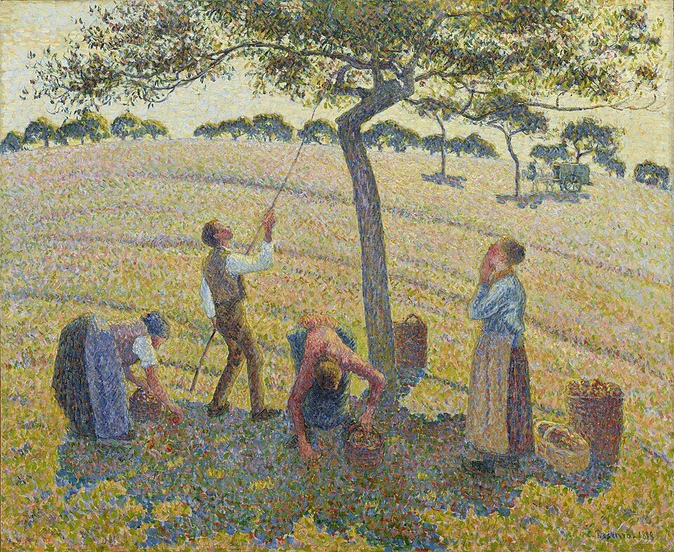 June 7, 2026 - Second Sunday after Pentecost