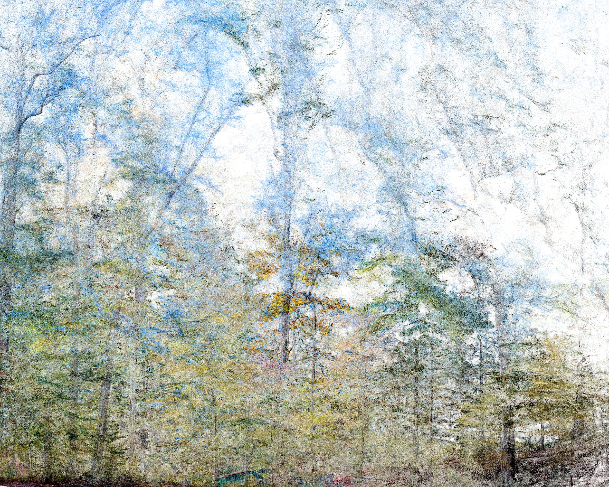Frederick Law Olmsted