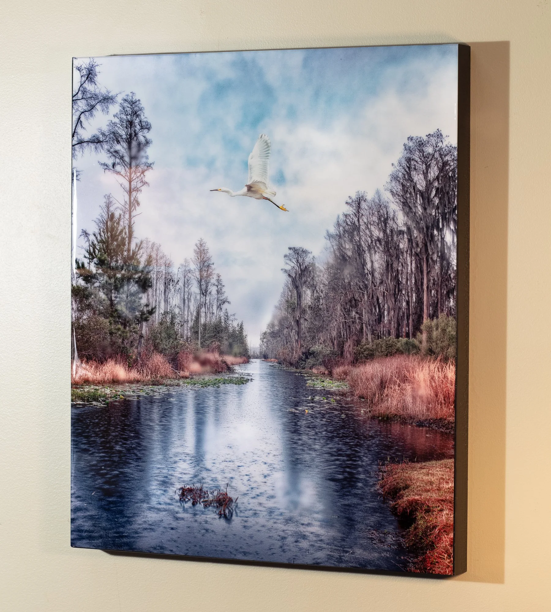 Okefenokee Swamp Heron (2021)