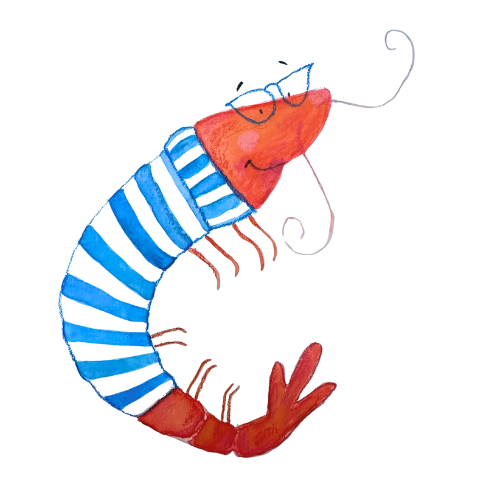 Mrs. Shrimp - illustration by Inge Picqueur - Maison Rosee.png