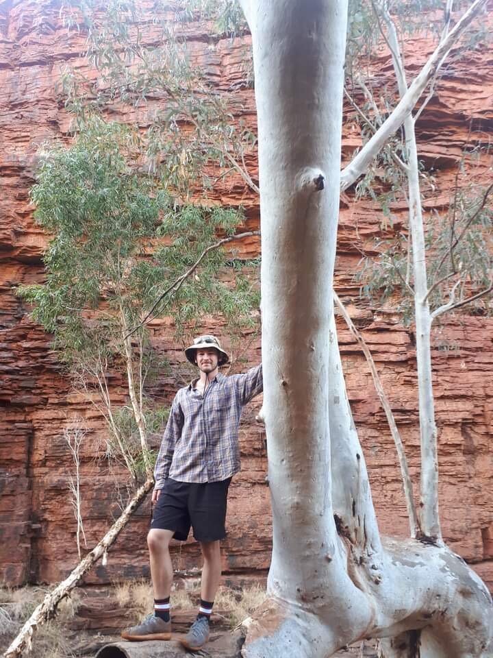 jared tree.jpg