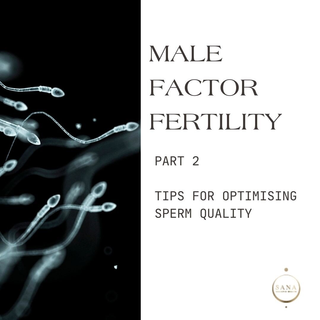 Male Factor Fertility PART 2: How can we optimise the sperm quality outcomes? 

As we outlined in the previous post, male factors are implicated in up to 50% of fertility cases, so focusing a light on this issue may reduce time to conception and misc