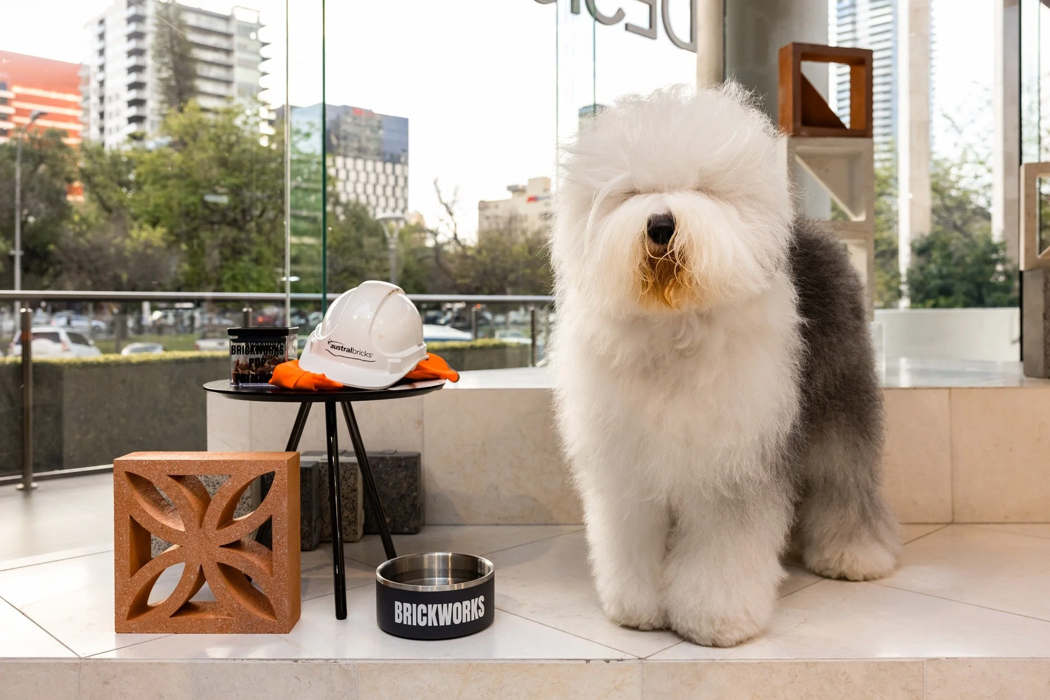 The biggest VIP of them all - the @duluxaus  Dog 🐶🤎

Safe to say, we were starstruck at the Dulux Colour Forecast evening held at @brickworksbp.