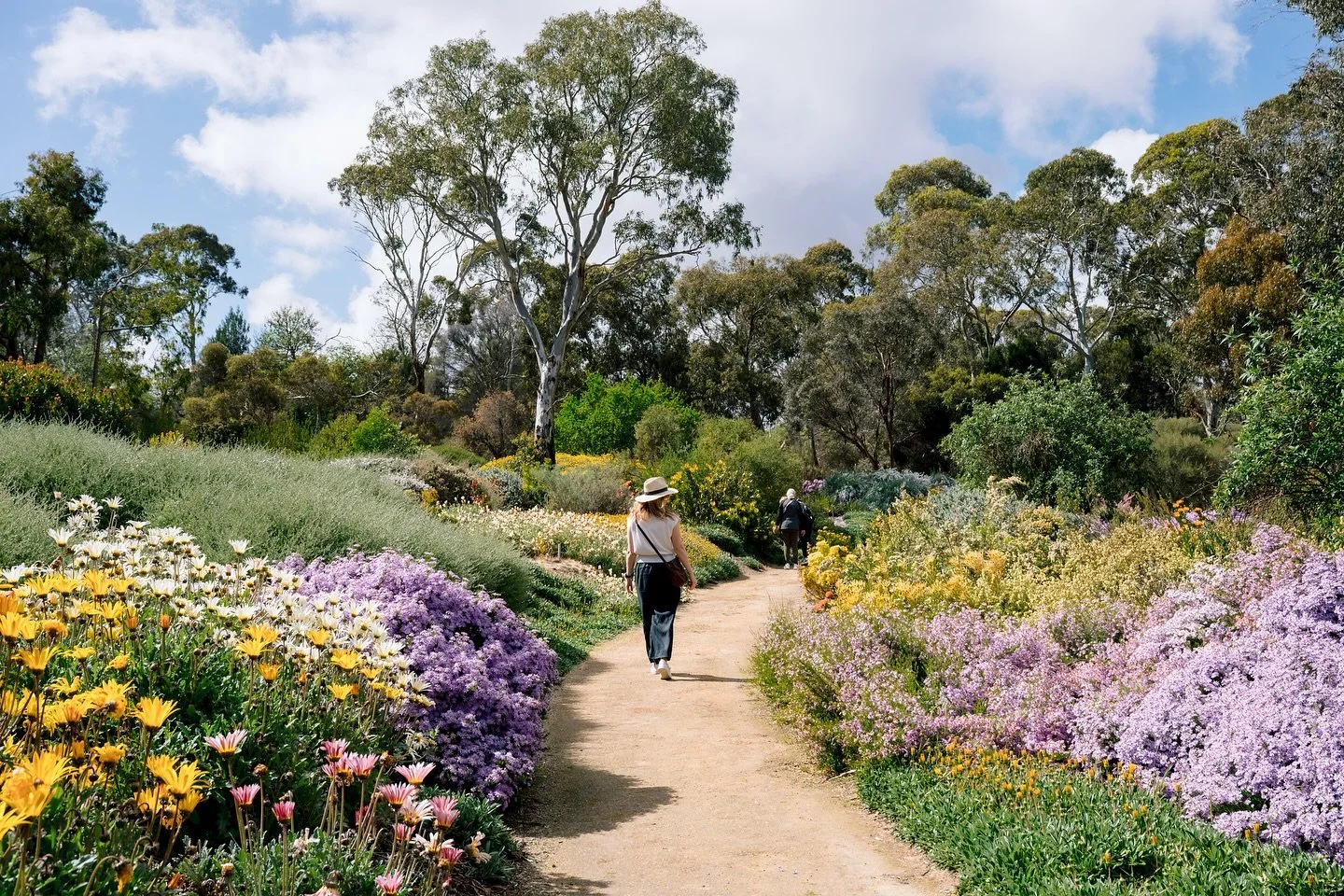 A day spent at @botanicgardenssa is a day well spent, especially when celebrating Wittunga Botanic Gardens 50th anniversary. Here&rsquo;s one of our favourite snaps. A quiet moment away from the crowds of the big day 🌸