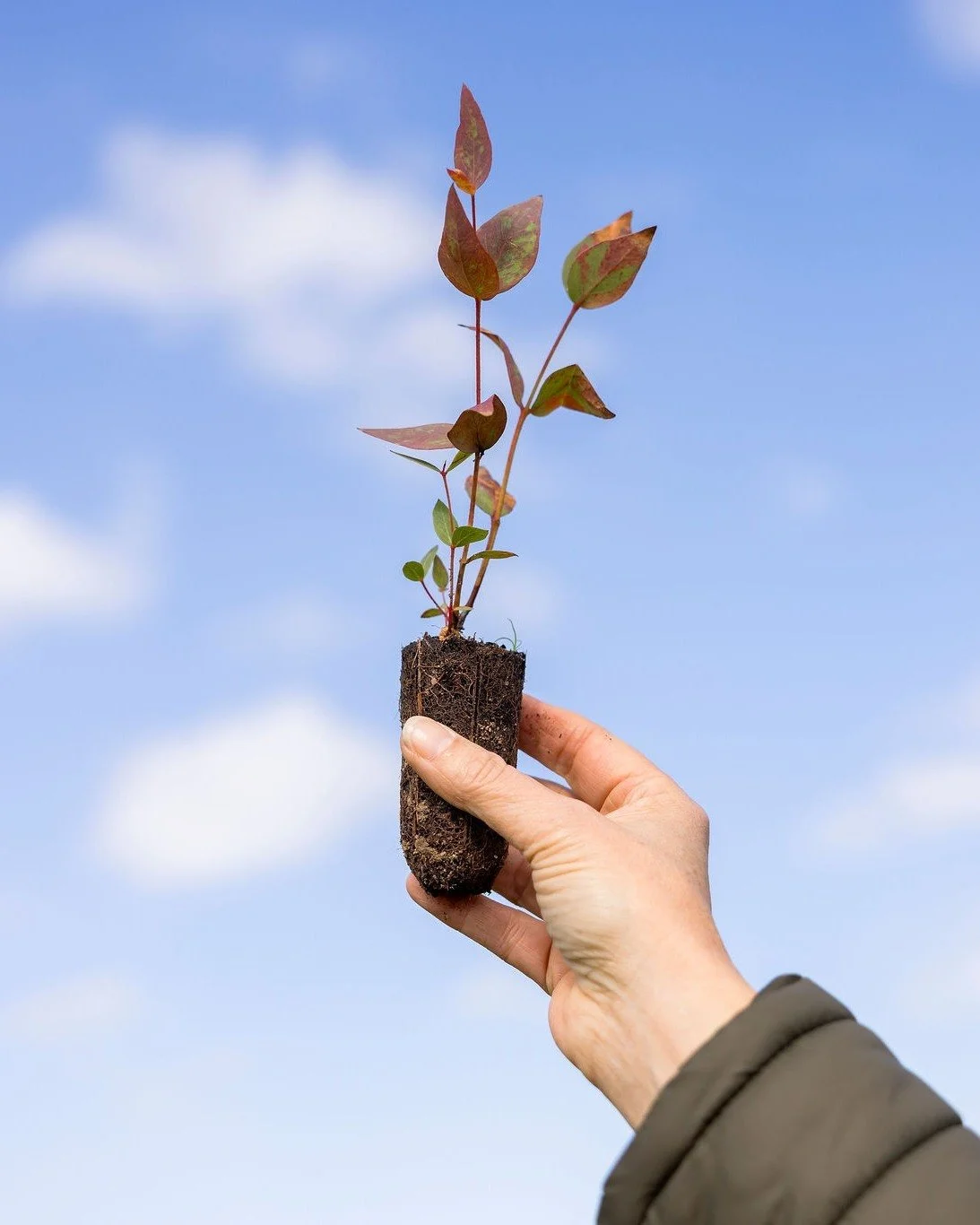 🌳 @greenfleetaustralia tree-planting day 🌳

Hands in soil. Minds reset.

What&rsquo;s the one thing every brand gets wrong about sustainability?