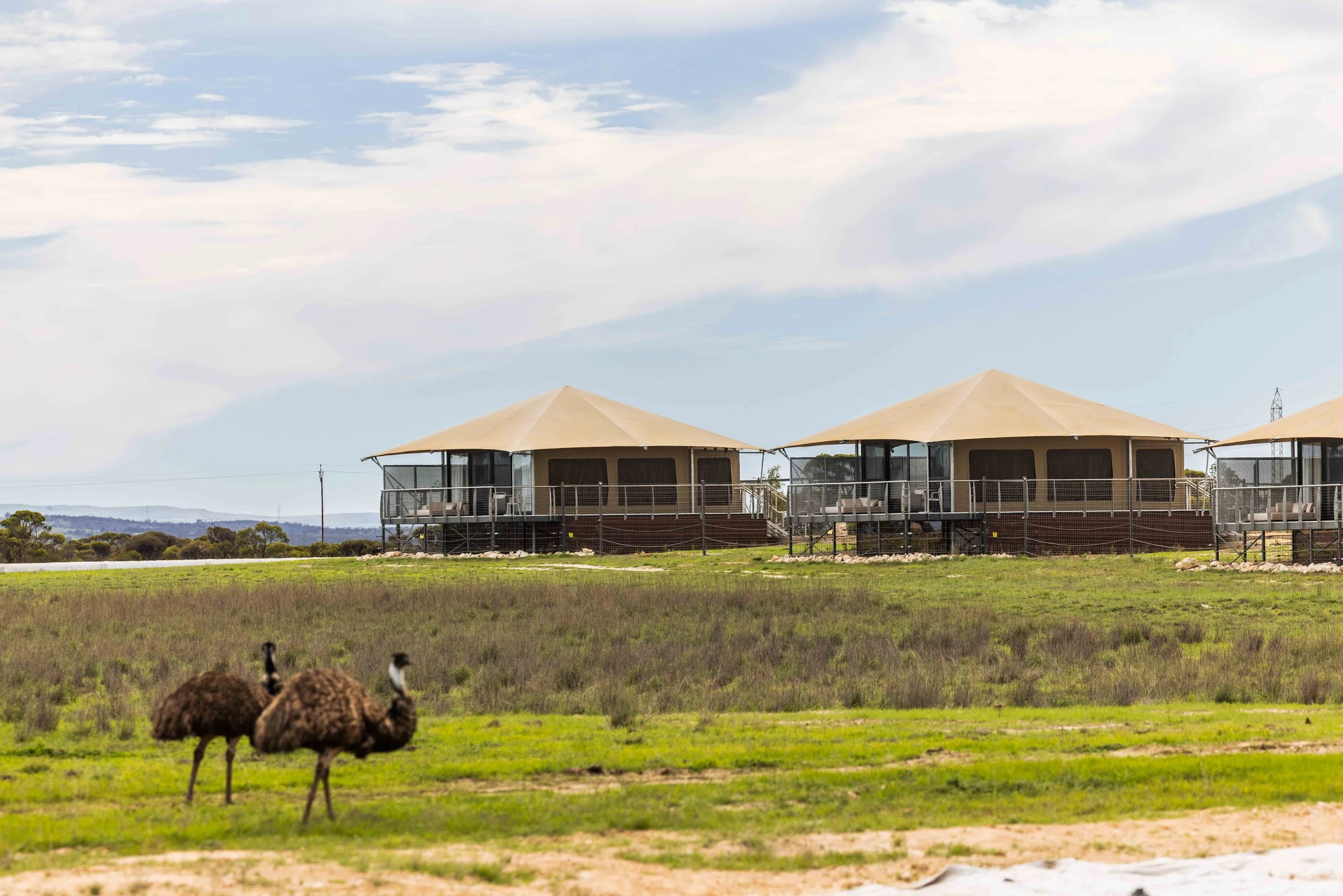 Frankie The Creative - Adelaide Photographer - Monarto Safari Lodge Launch-105.jpg