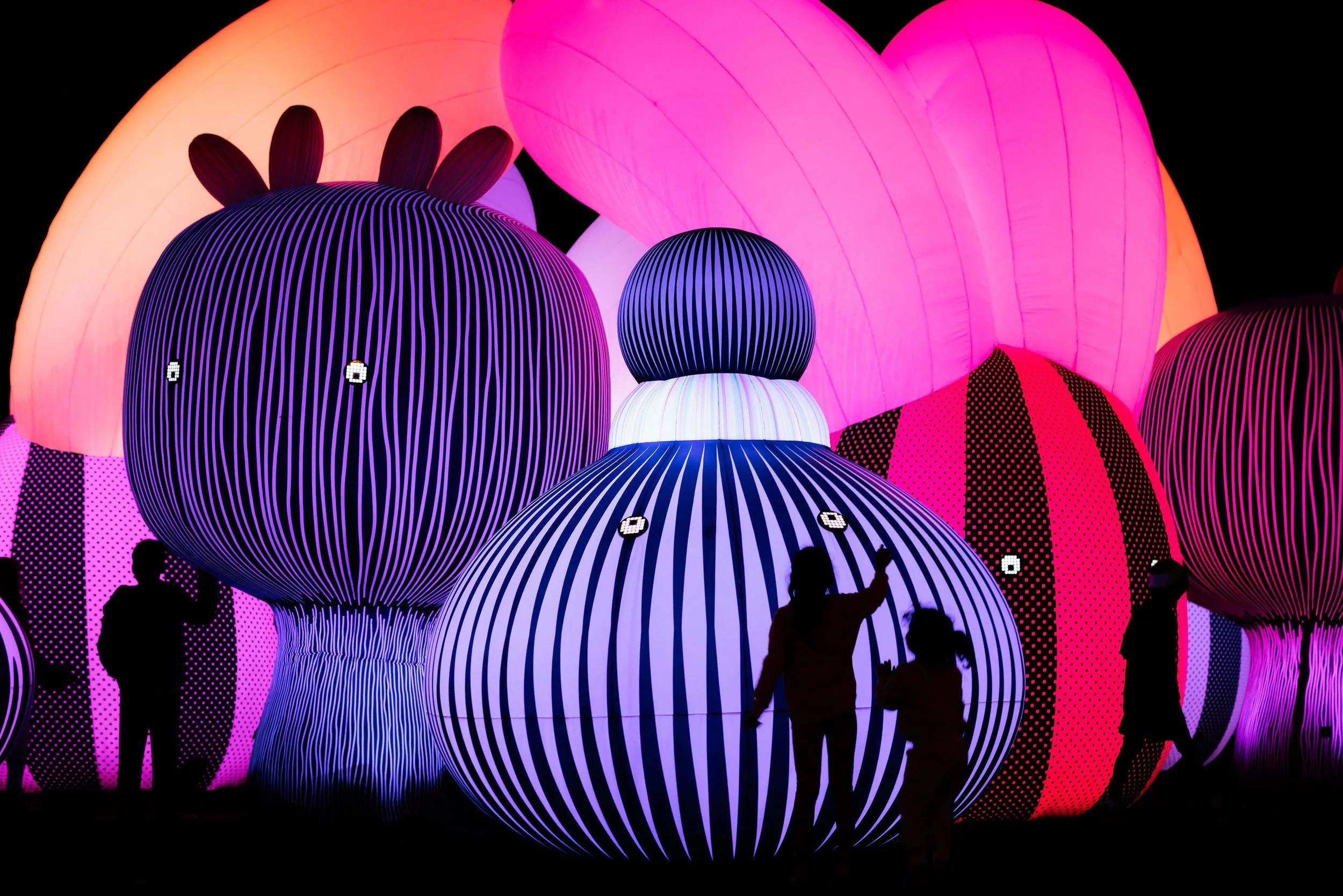 Frankie The Creative - Illuminate Adelaide 2021.jpeg