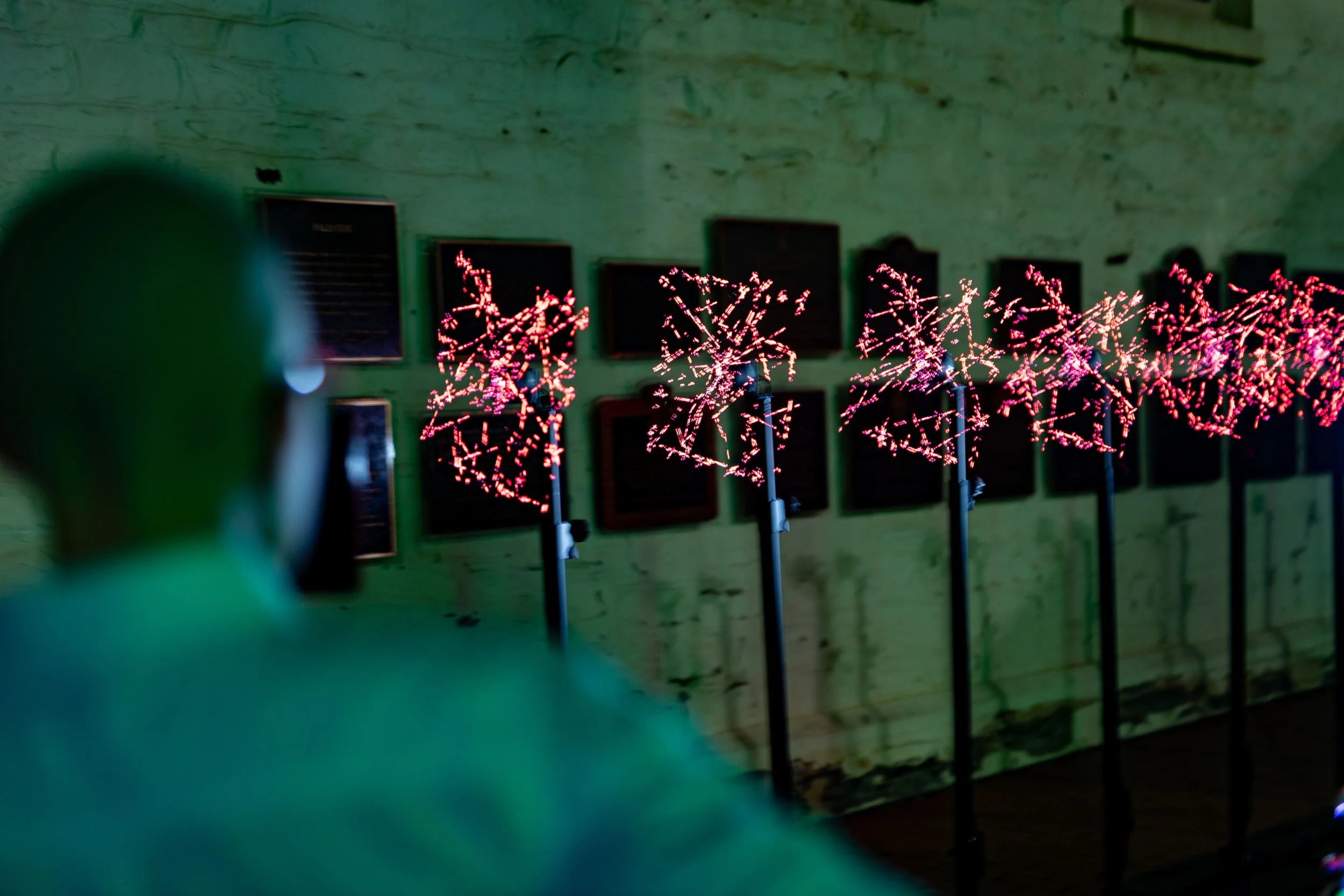 FrankieTheCreative-AdelaideEventPhotographer-IlluminateAdelaide2021ProgramLaunch-25.jpg