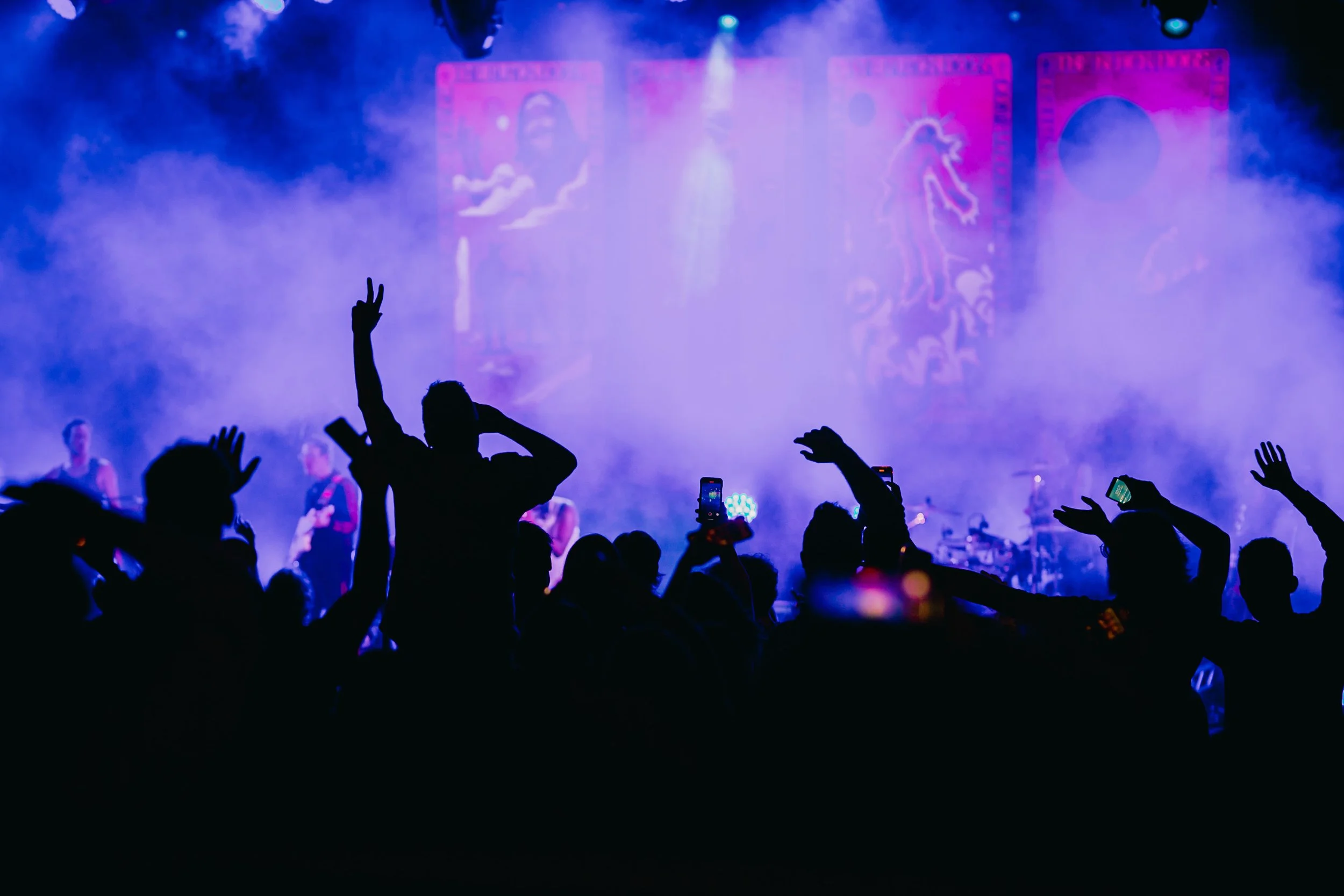 FrankieTheCreative-AdelaideFestivalPhotographer-GenesisOwusu-127.jpeg
