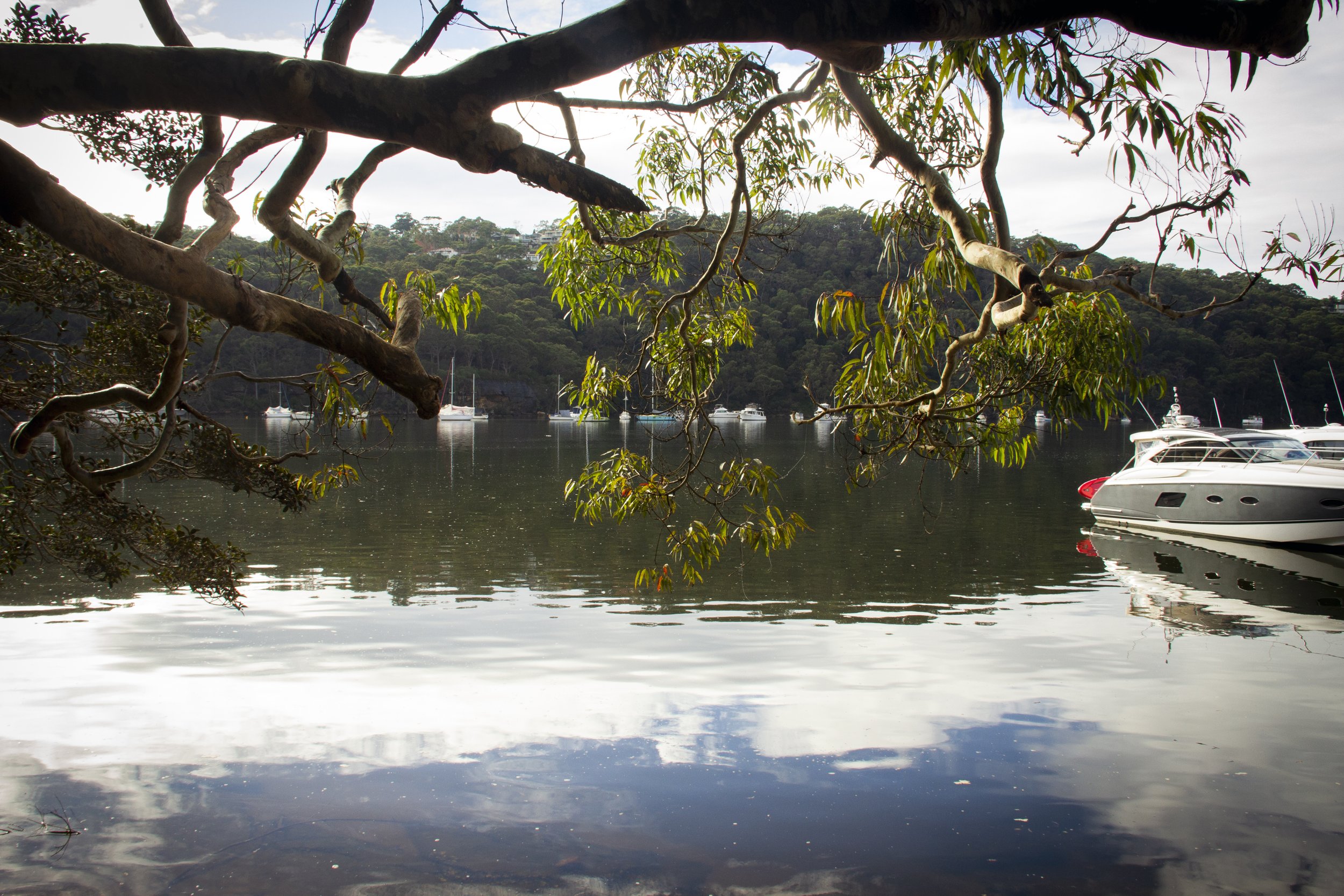 Roseville Chase Walk