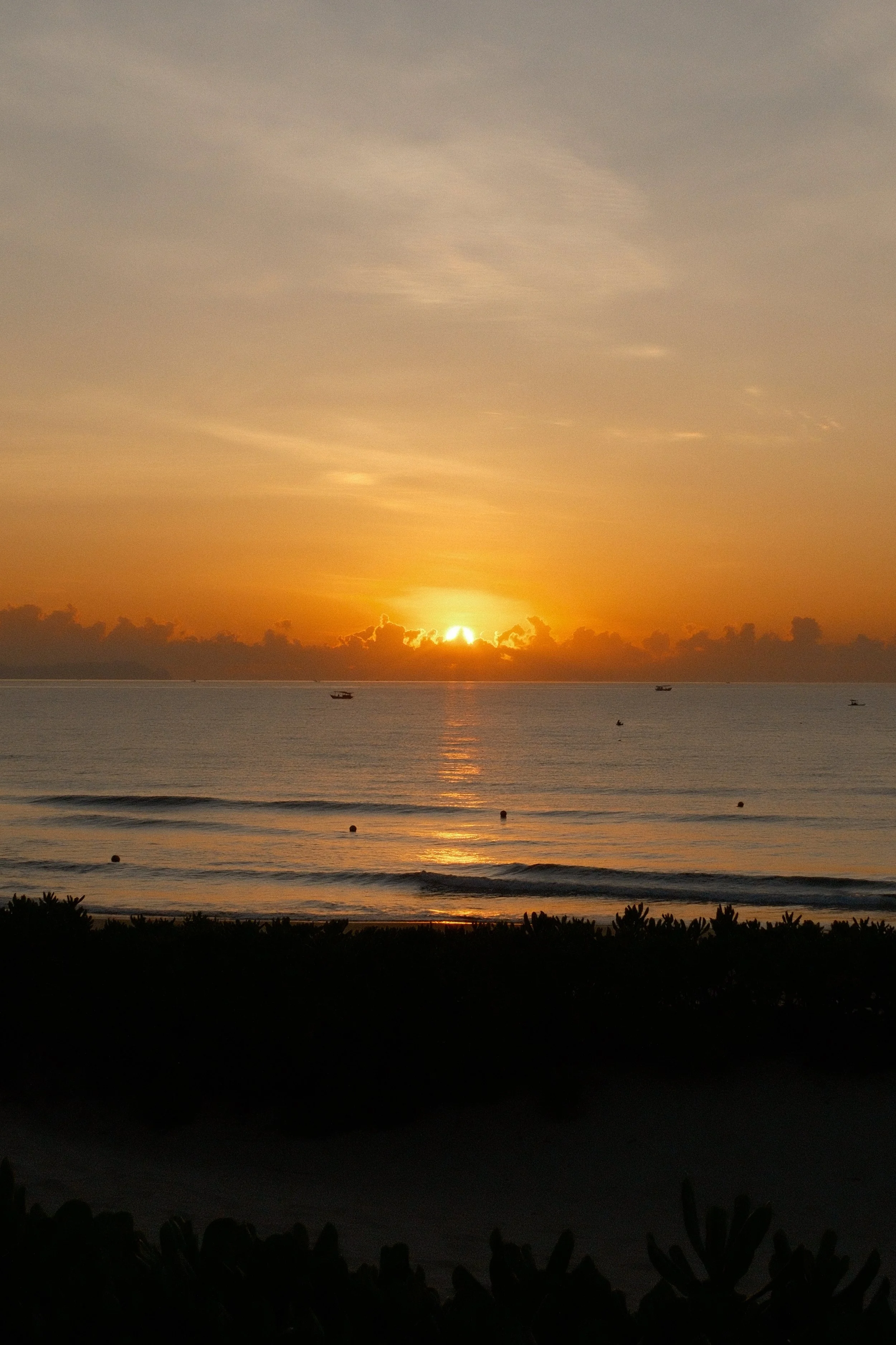DSCF1102.JPG