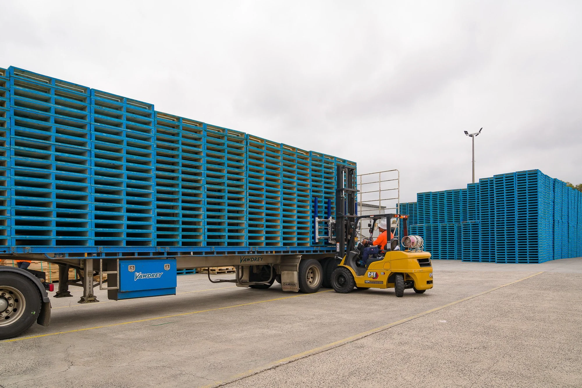 DSC02062 FOR www COL.JPG