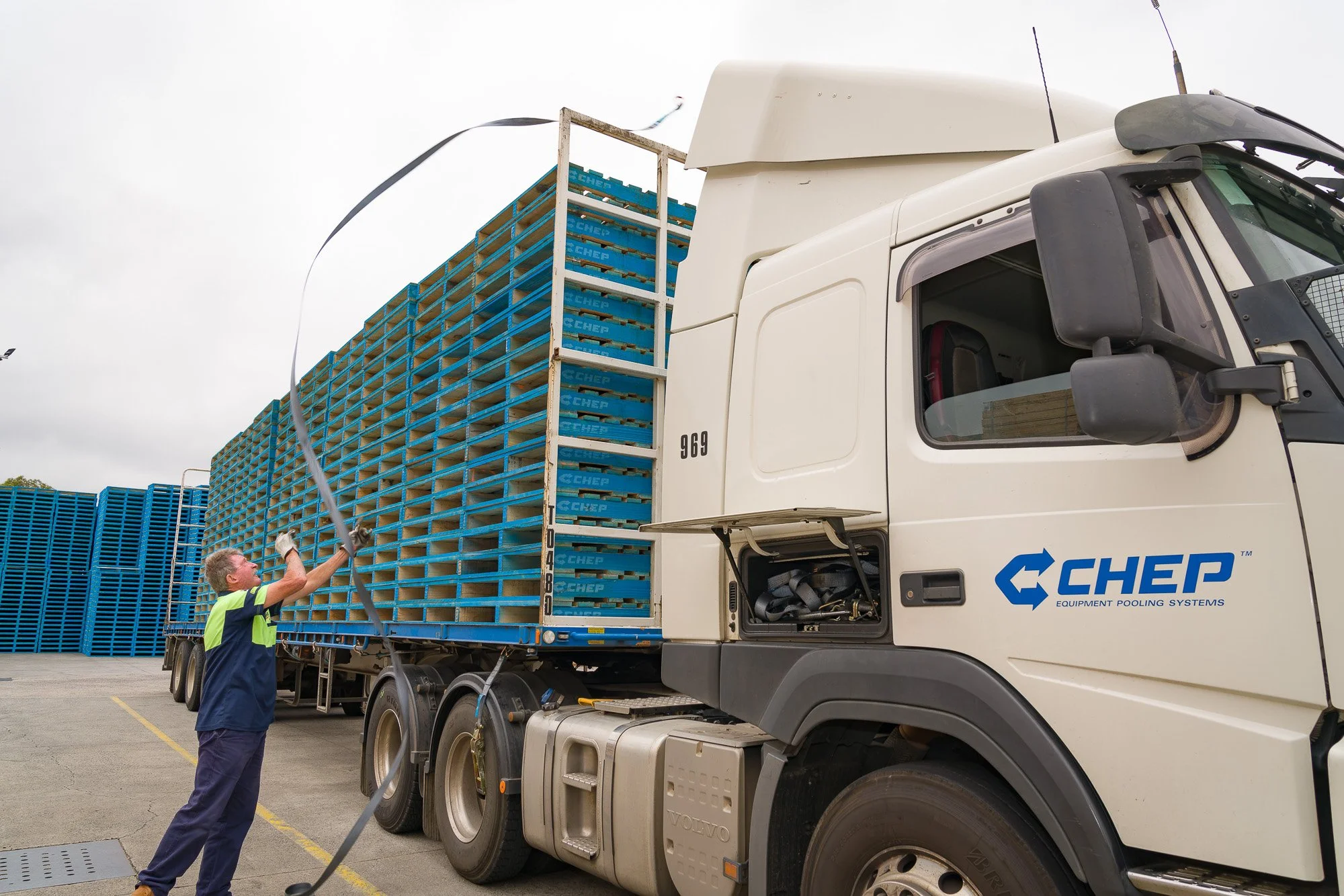 DSC02072 FOR www COL.JPG