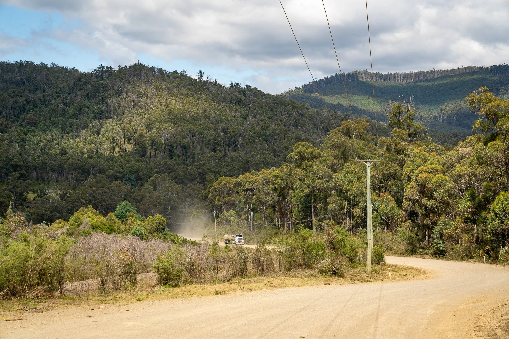 DSC01567 FOR www COL.JPG