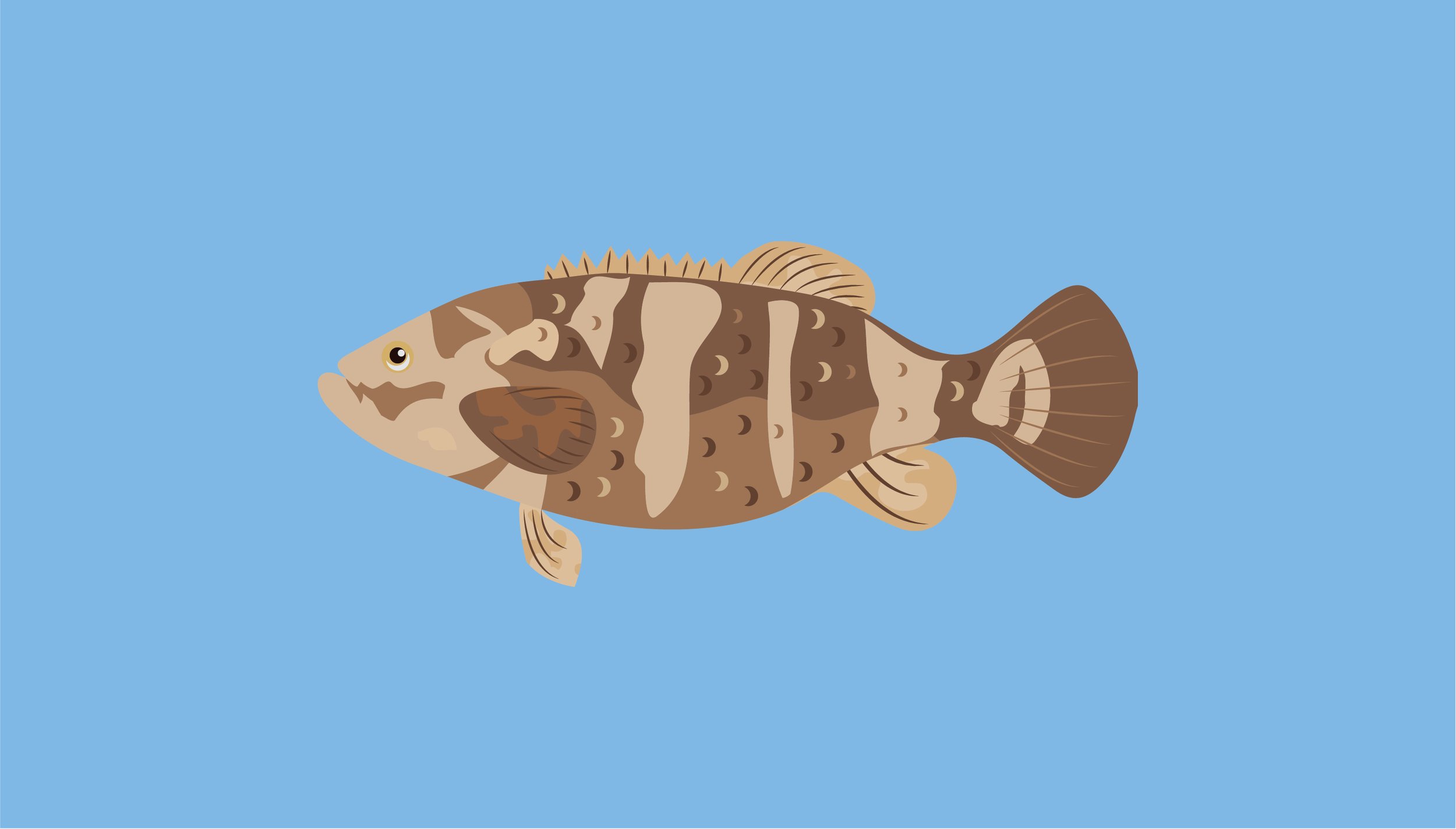 Nelia's Fish-08.jpg