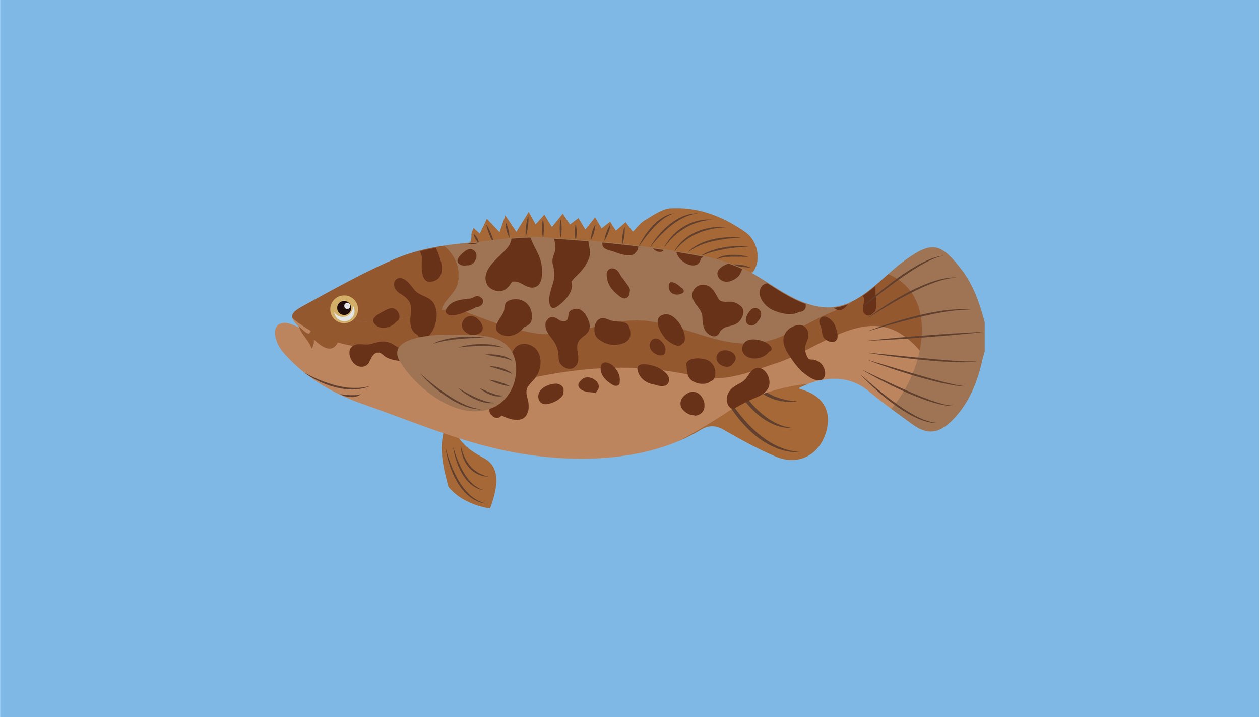 Nelia's Fish-04.jpg