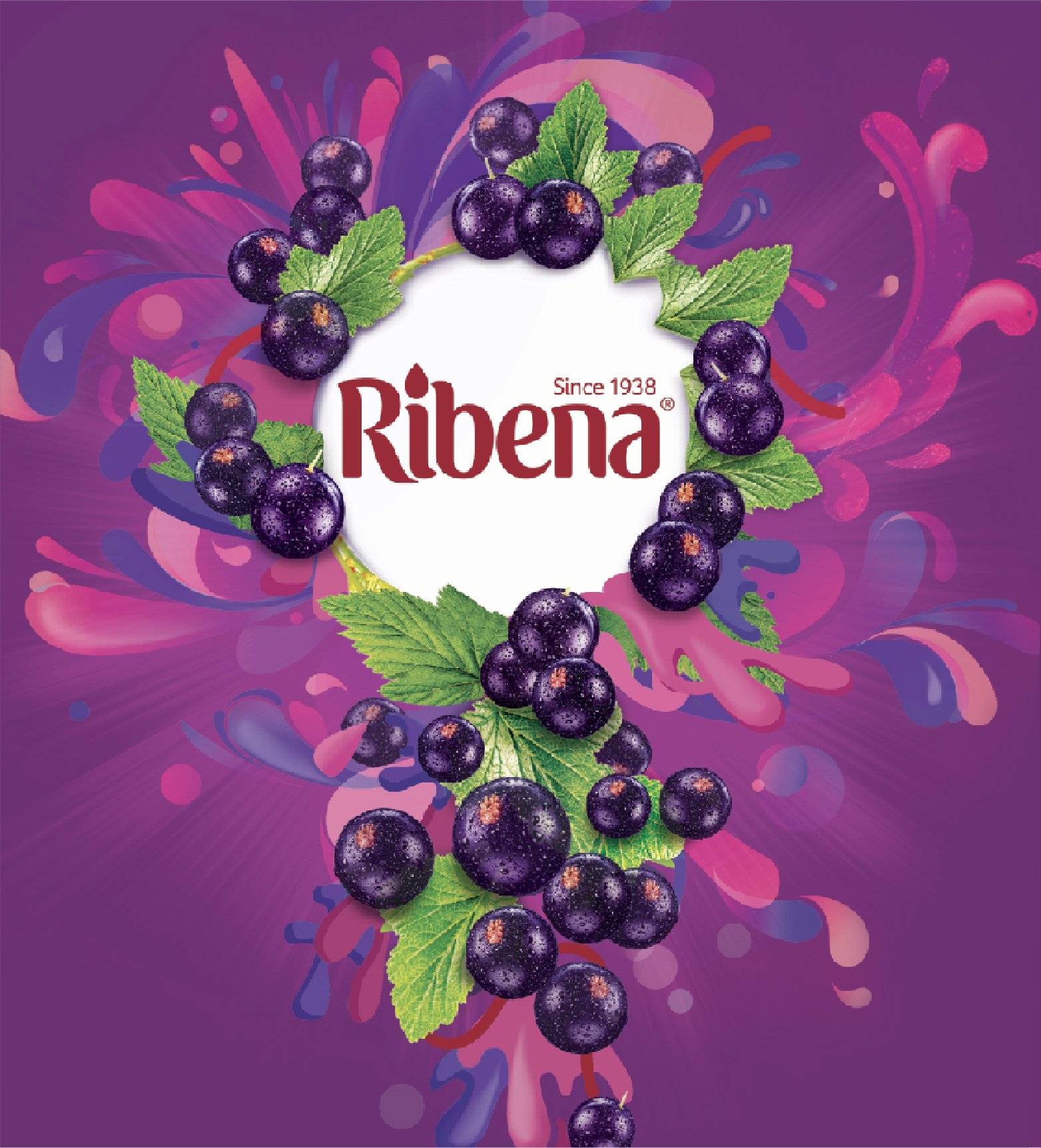 Ribena layouts-06.jpg