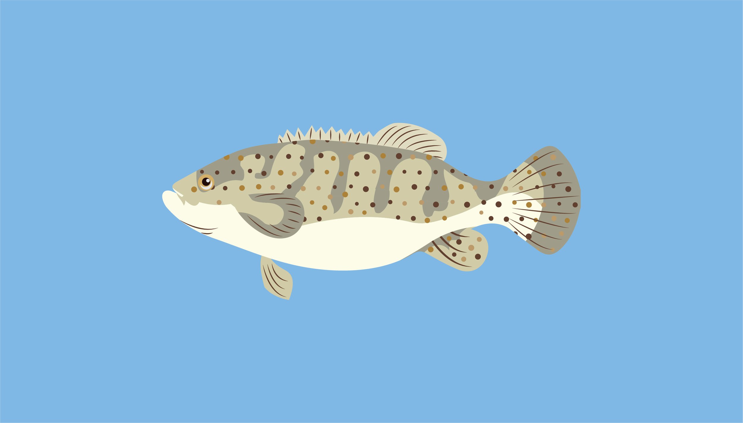 Nelia's Fish-05.jpg