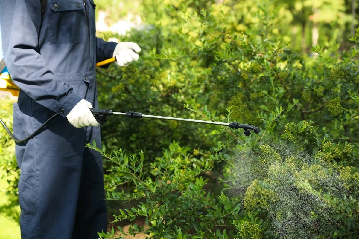 plant health care services near me