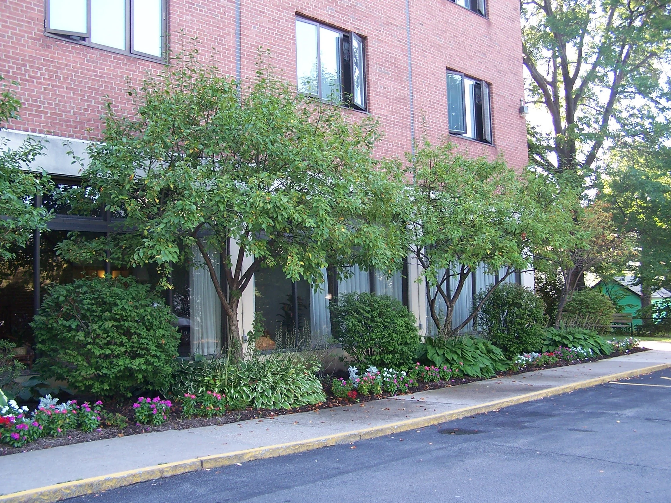 commercial landscape maintenance