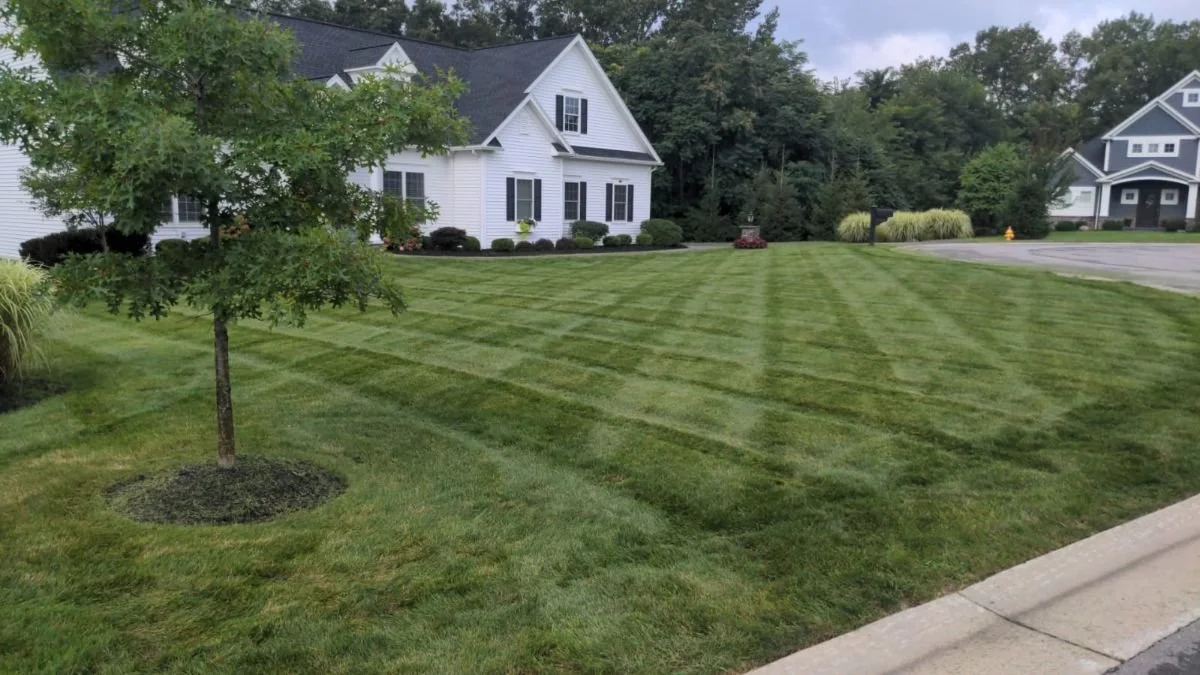Lawn Care in Mendon, ster, Penfield, Victor, Pittsford NY Town