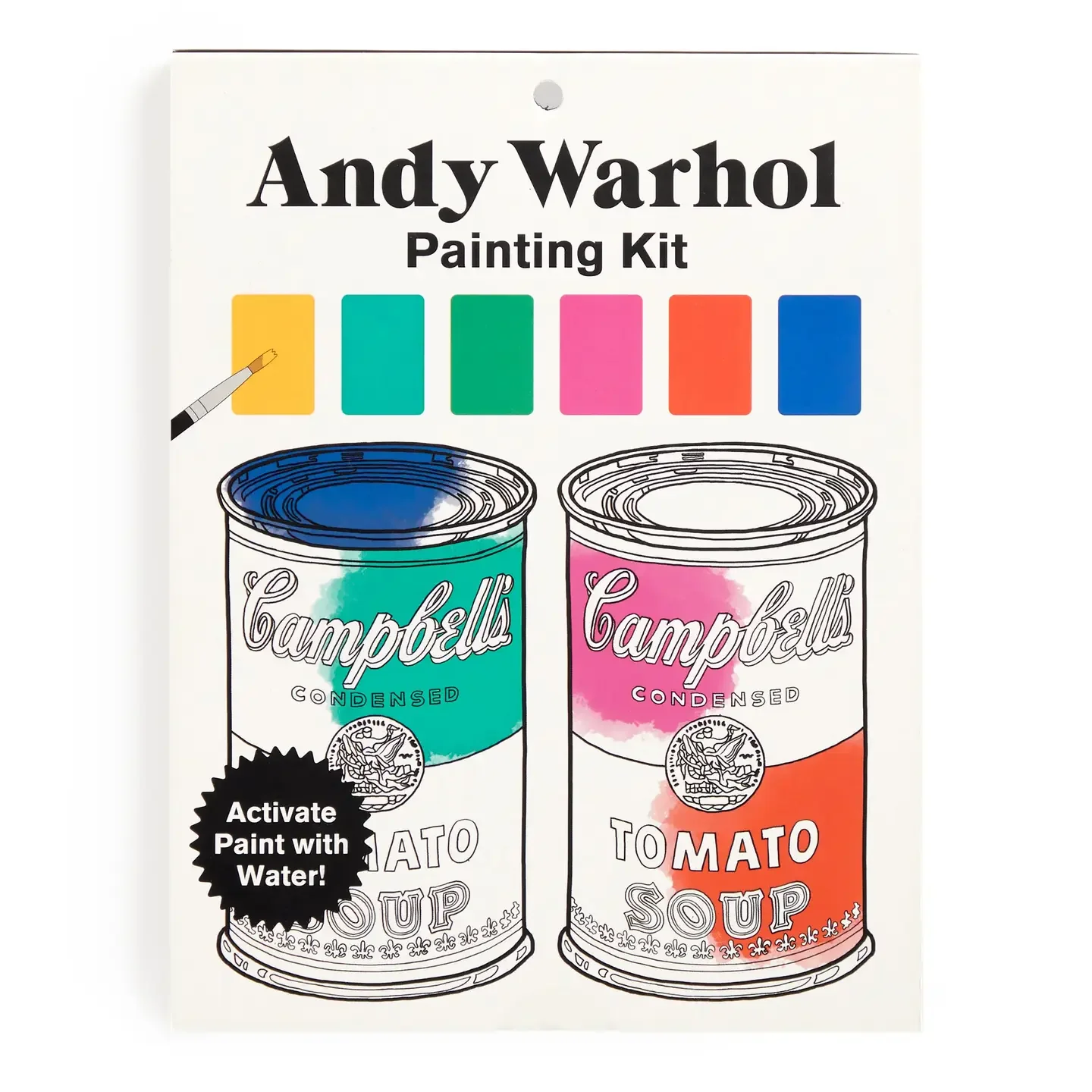 Andy Warhol Pop Art Painting Kit