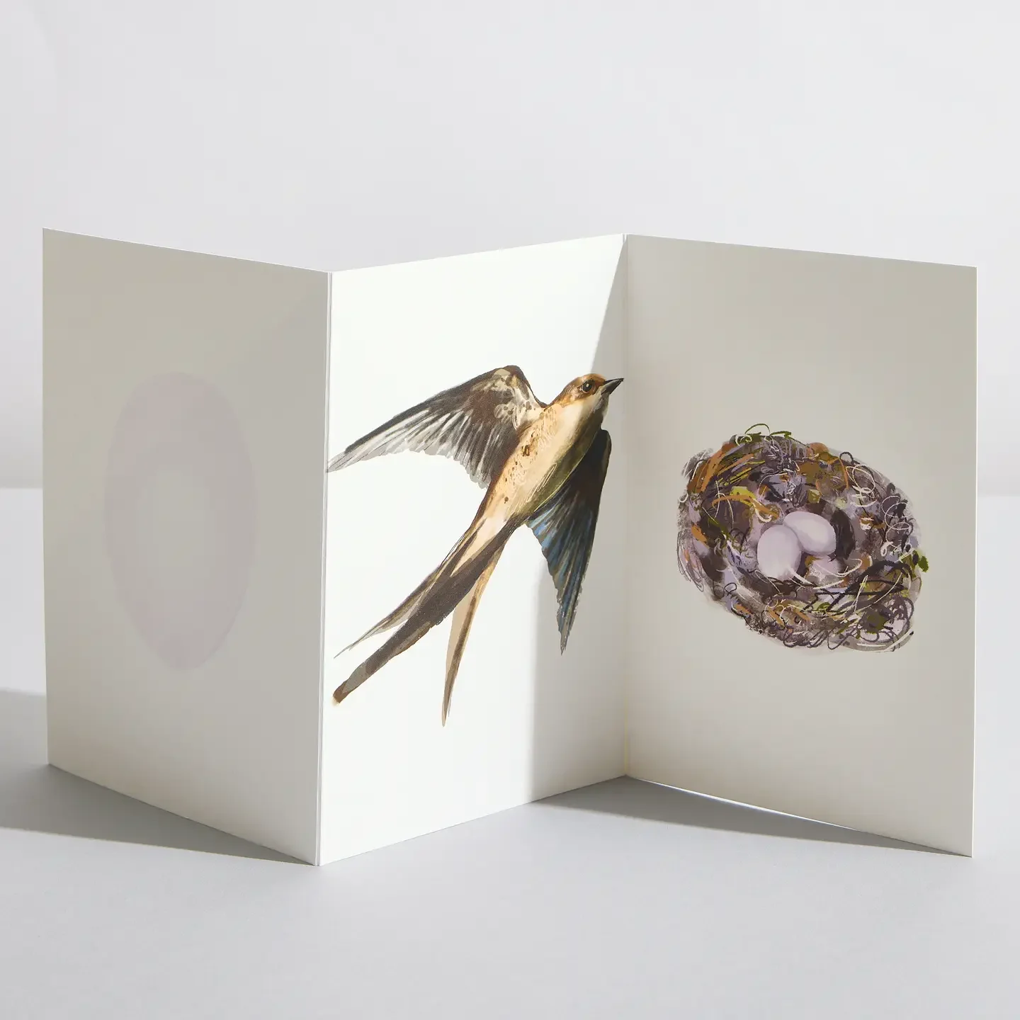 Swift Concertina- Triple illustration Greeting Card