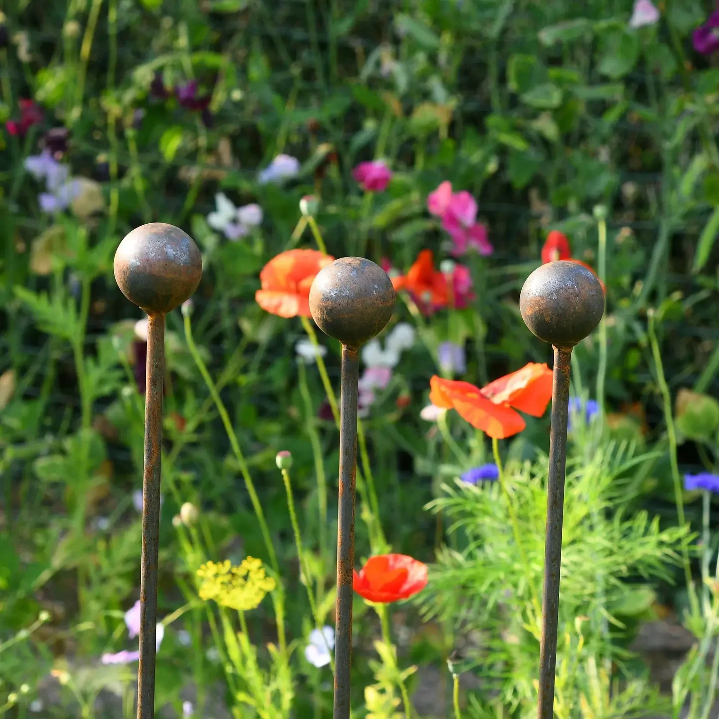 Rusty metal sphere plant supports