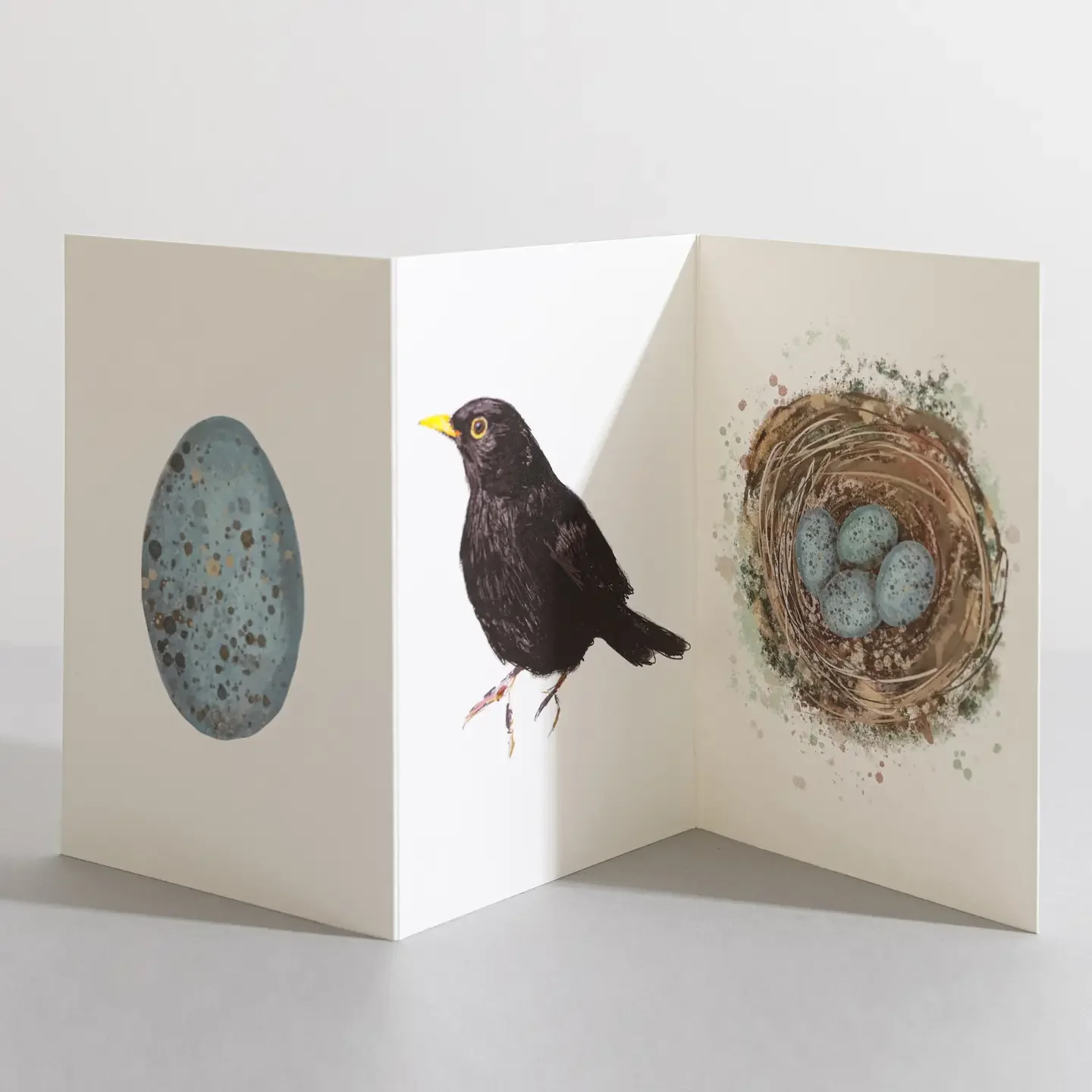 Blackbird Concertina Card