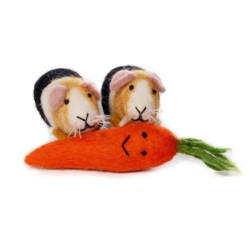 jess-the-guinea-pig-ty84901-6-pack-_3_-3191-p_1024x1024.jpg