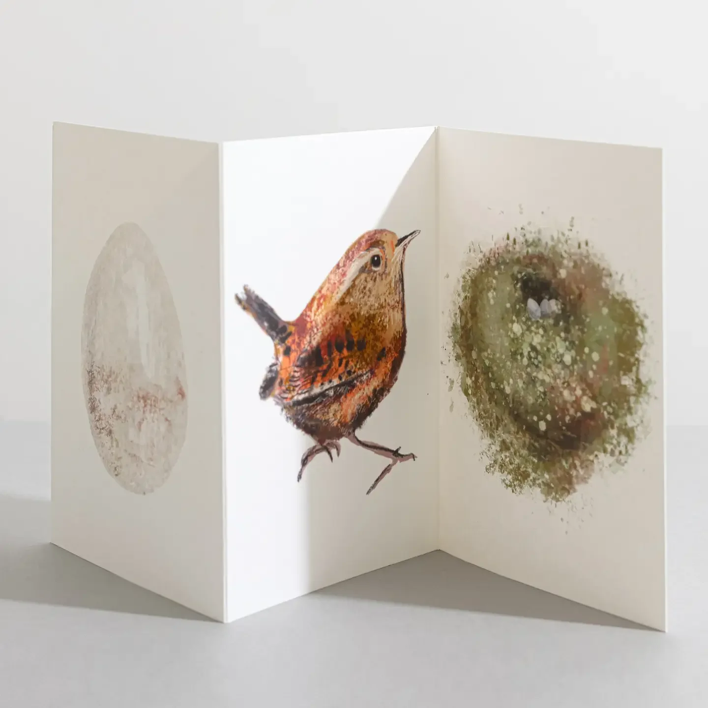 Wren Bird Concertina Card