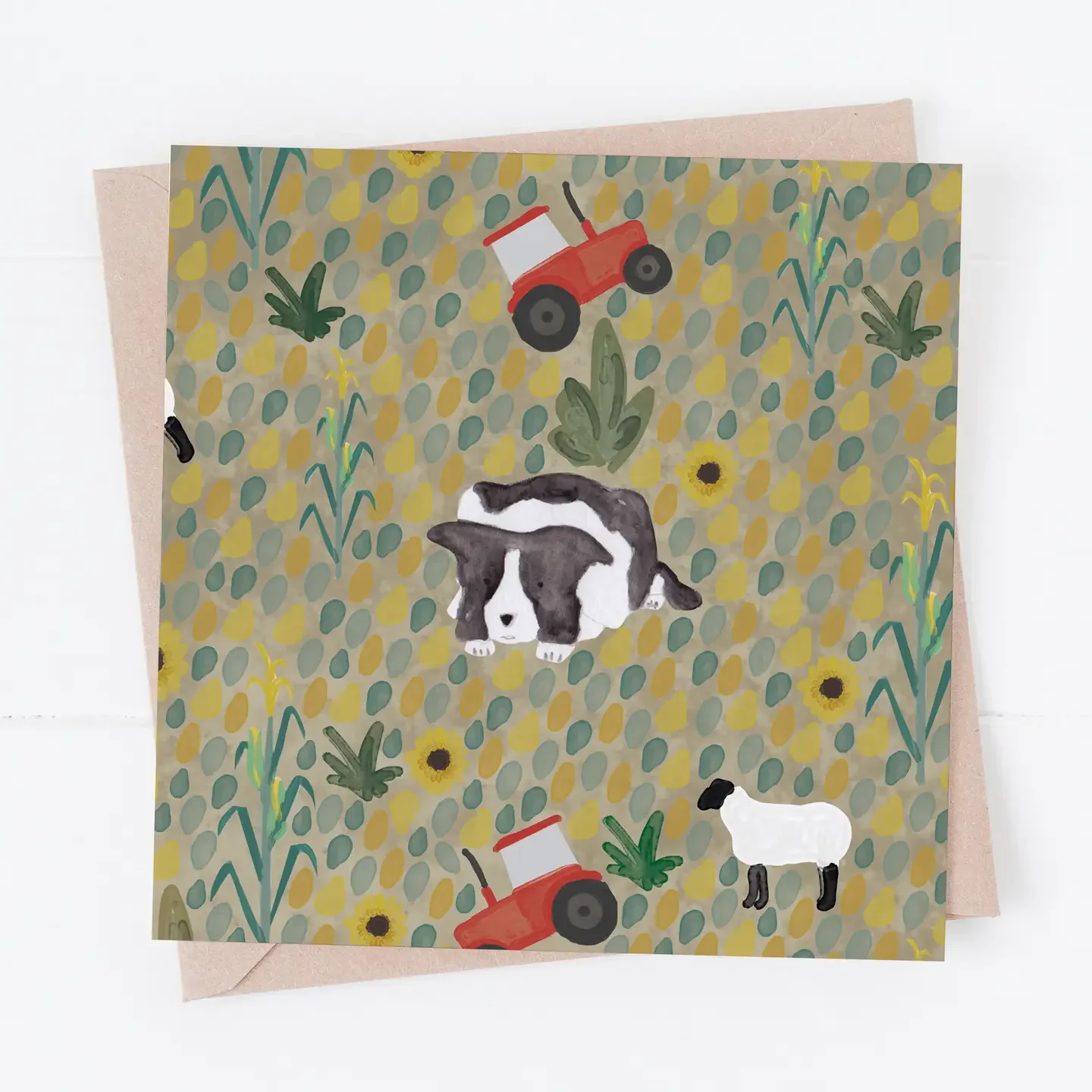 Black and White Border Collie Greetings Card
