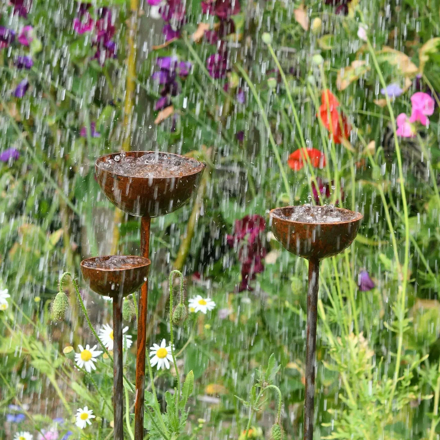 Rusty Metal Rain Catcher