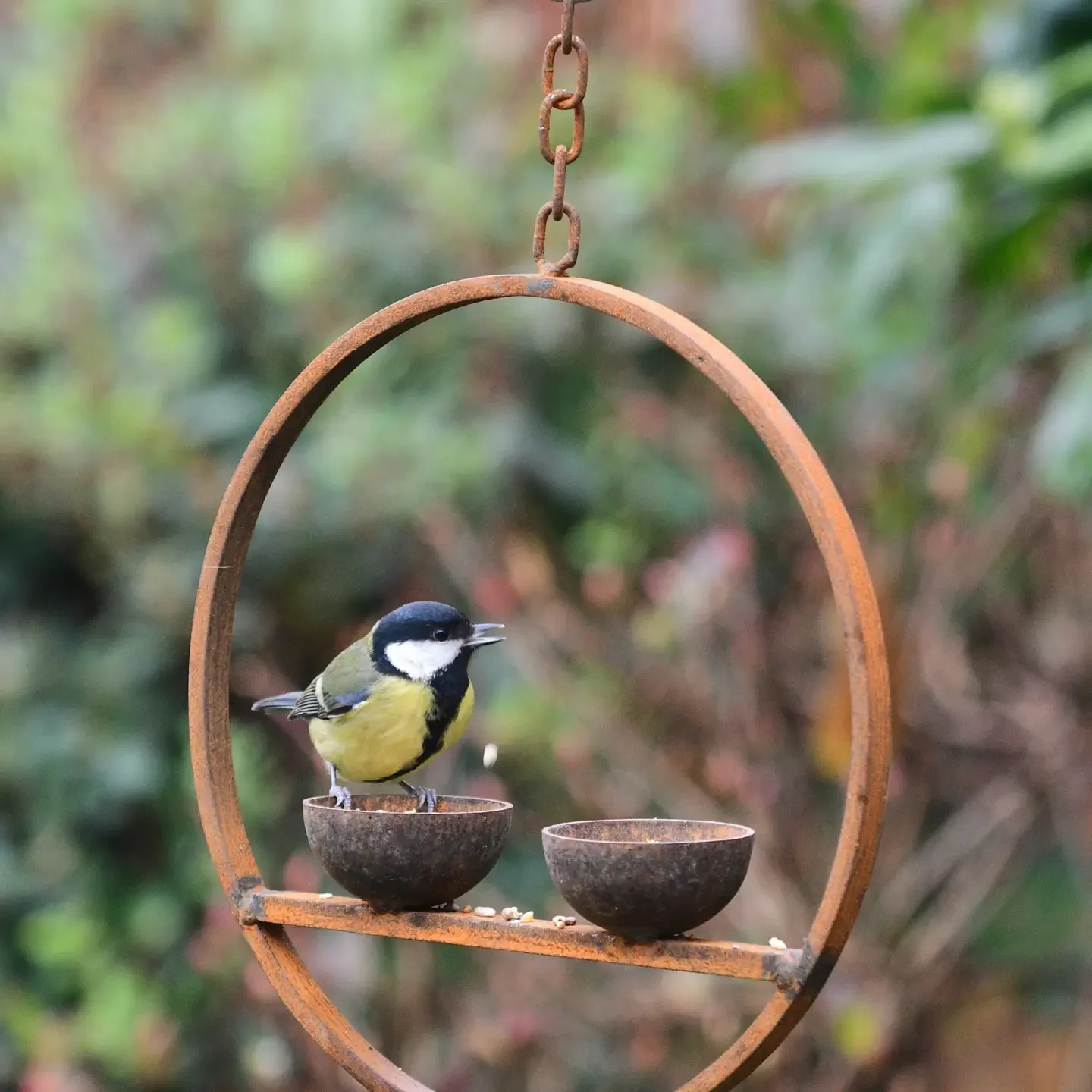 Rusty Circle Double Bird Feeder