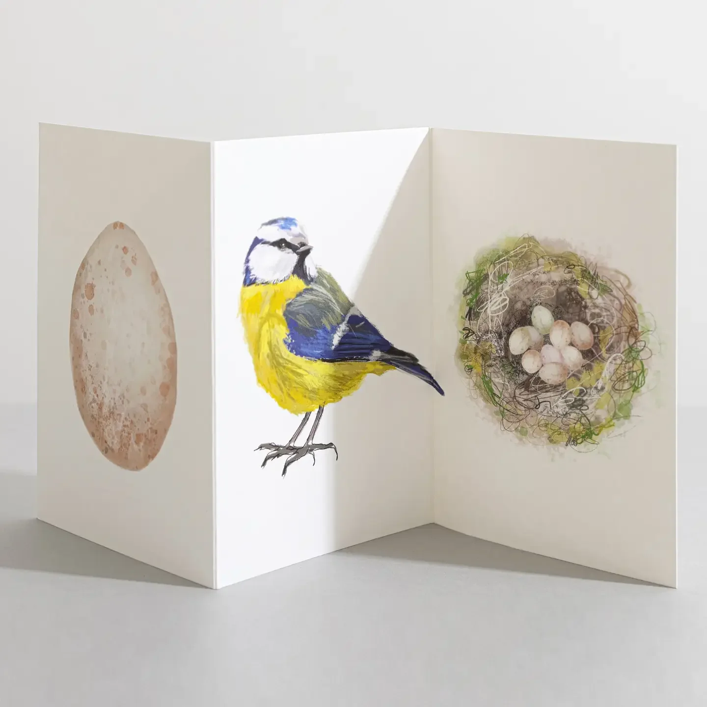 Blue Tit Concertina Card