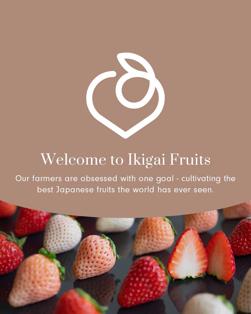 IKIGAI FRUITS FOUNDERMADE ikigai-fruits-foundermade