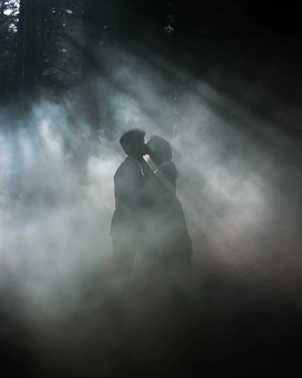 Silhouetted couple sharing a kiss in a misty forest, soft light streaming through trees in a dreamy, cinematic atmosphere.