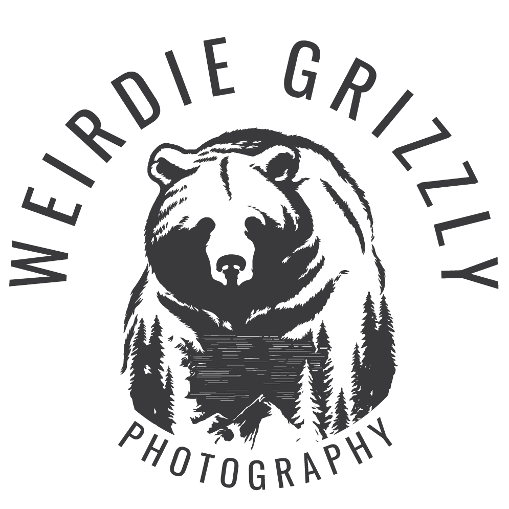 Weirdie Grizzly Elopement Photographer