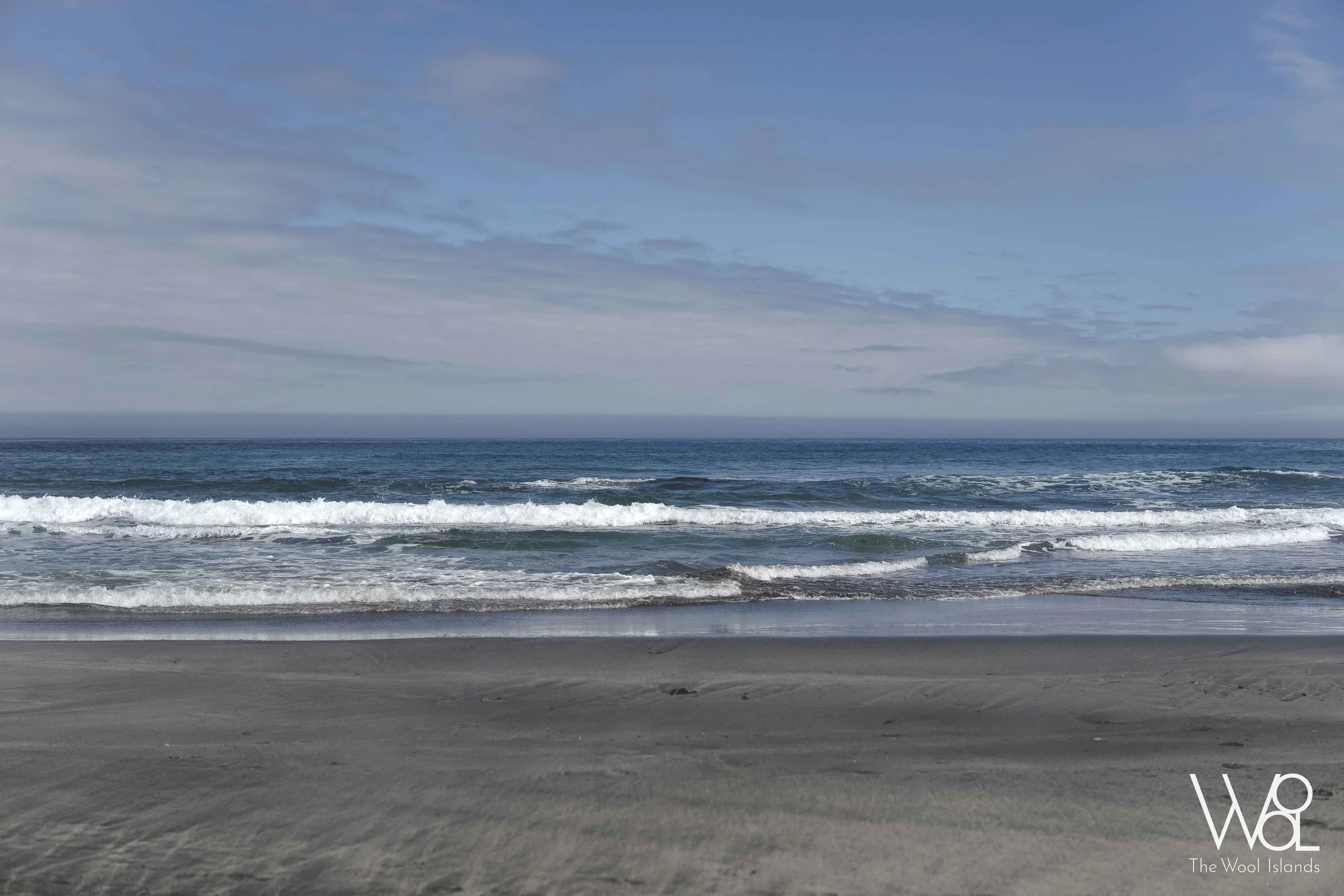 DSC05116_RWL.jpg