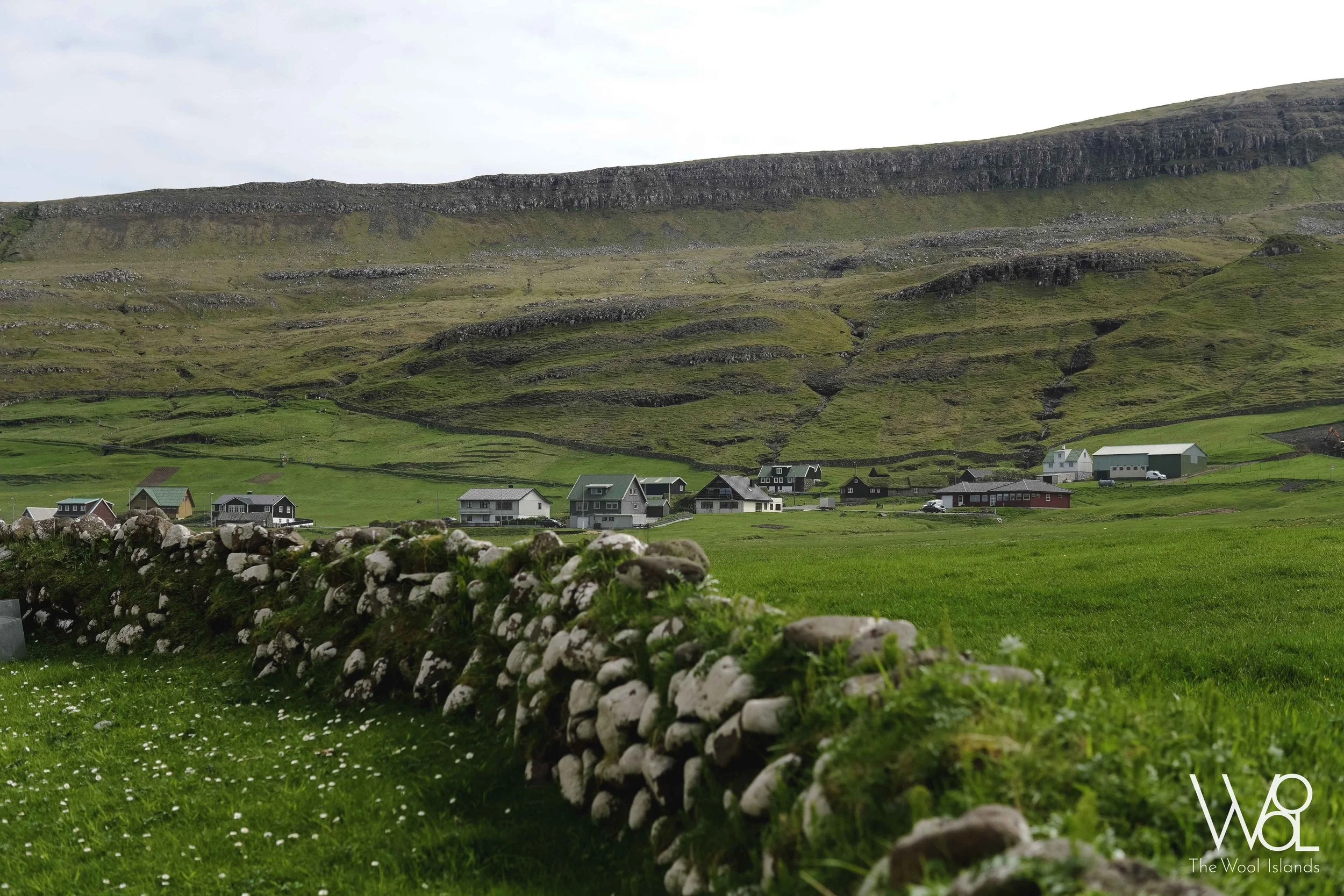 DSC05118_RWL.jpg