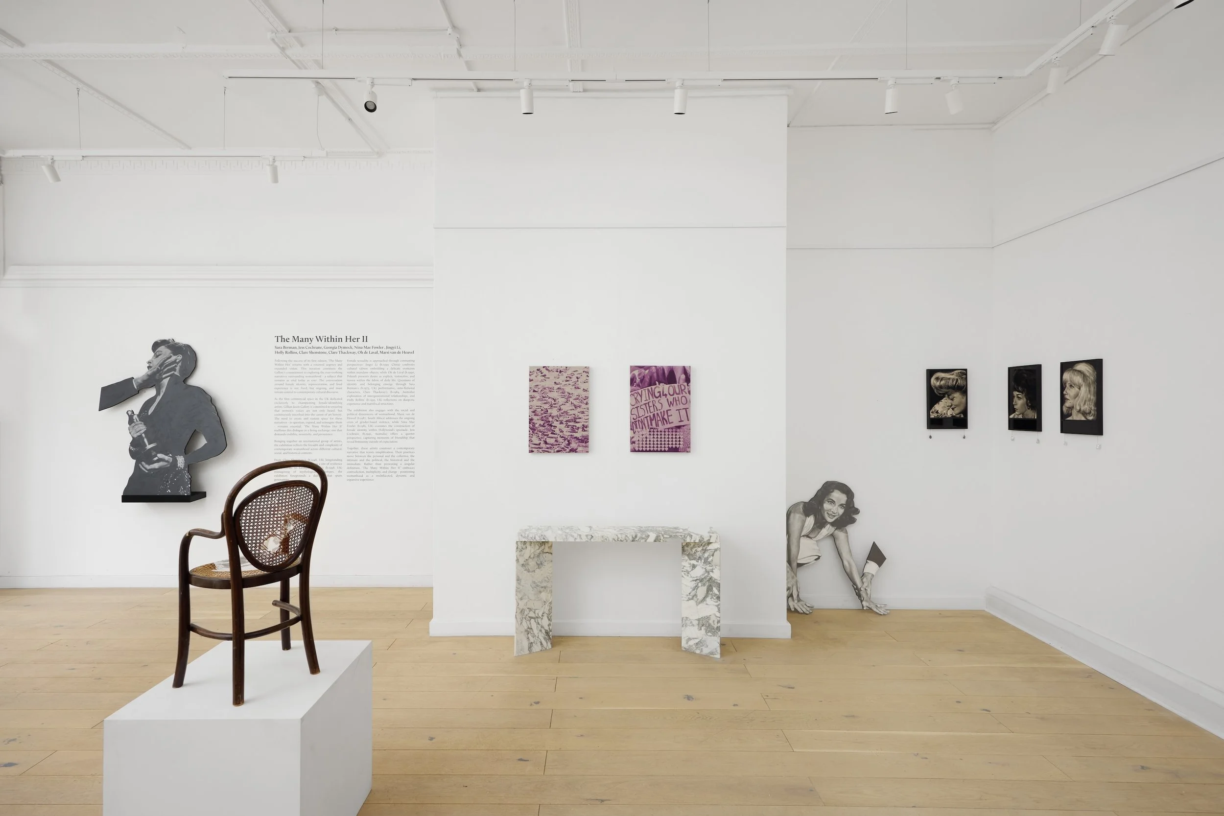 Gillian Jason - The Many Within Her II - 005 copy.jpg