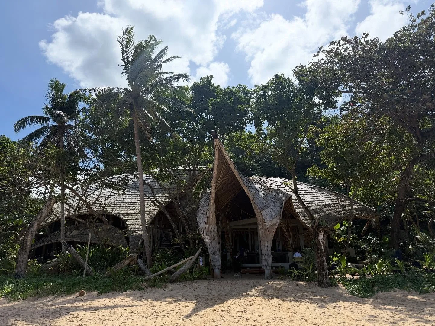 Venture off a bumpy, unpaved earth road, past some carabao and onwards down to Duli Beach. It&rsquo;s wild. It&rsquo;s unexplored. Theres a surf break. And a surprise awaits. Scattered along this 2km stretch of golden sand are a few surf rental shack