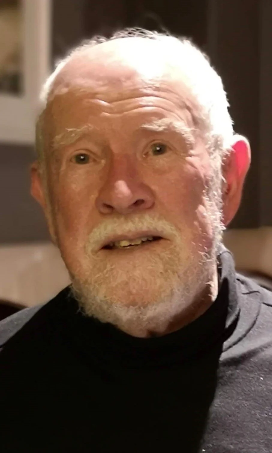 Noel Carroll