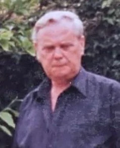 Lauri Cummins