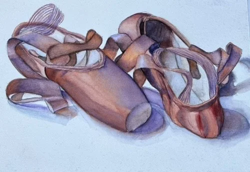 brownish purple cast pointe shoes.jpg