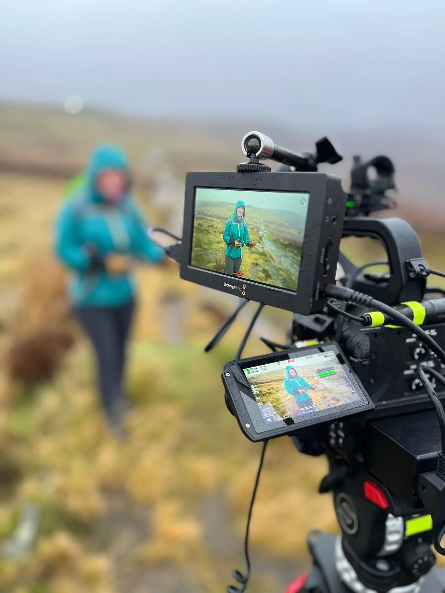 WhatsApp Image 2025-12-17 at 20.37.20 (2).jpeg