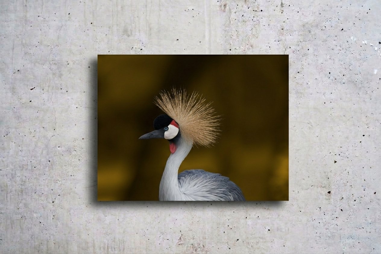 Portrait de grue 2